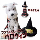 新生活 ハロウィーン コスプレ ペット 服 猫 犬 Halloween 2点セット マント ハット 帽子付き 可愛い 着用簡単 犬用 猫用 いぬ ねこ ペット ...