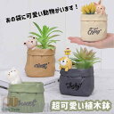 新生活 プランター 植木鉢 ミニ 多肉 苔 コケリウム 苔リウム 箱庭 可愛い 鉢 サボテン 多肉植物 寄せ植え 置物 インテリア かわいい 樹脂 テラリウム ...