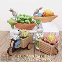 新生活 植木鉢 プランター ミニサイズ 寄せ植え 多肉 苔 底穴 底栓コケリウム 苔リウム 箱庭 鉢 可愛い サボテン 多肉植物 置物 インテリア かわいい 樹...