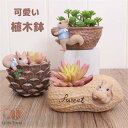 新生活 植木鉢 プランター ミニ 多肉 苔 コケリウム 苔リウム 箱庭 鉢 可愛い サボテン 多肉植物 寄せ植え 置物 インテリア かわいい 樹脂 テラリウム ...