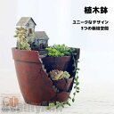 新生活 植木鉢 プランター 多肉 苔 コケリウム 苔リウム 箱庭 鉢 可愛い サボテン 多肉植物 寄せ植え 置物 インテリア かわいい 樹脂 テラリウム 容器 ...
