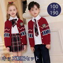 キッズ 入学式 卒業式 制服 学生服 チェック柄 イギリス風 女の子 男の子 100 110 120 130 140 150 160 170 180 190 カーディガン プリーツスカート パンツ ズボン シャツ キッズ 小学生 中学生 高校生 ジュニア カジュアル 卒園式 七五三 発表会 演奏会 舞台 ファッション