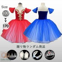 バレエダンス 子供ダンス衣装 演出バレエ 大きいサイズ バレエ ワンピース 子供バレエ バレエ発表会 レオタード 女の子 可愛い 新体操 ダンスウェア 練習着 ...