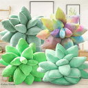 ぬいぐるみ Succulent pillow 抱き枕 抱きまくら 癒しグッズ プレゼント ギフト お昼寝枕 かわいい インテリア 子供 おもちゃ おもしろ PP...