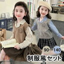 入学式 卒業式 制服 カジュアル 女の子 3点セット 春 秋 小学生 ジュニア 中学 受験 大きいサイズ ゆったりサイズ セーター おしゃれ 卒服 長袖 入園祝い ギフト 卒園式 七五三 お受験 発表会 韓国風 グレー ブラウン 90 100 110 120 130 140