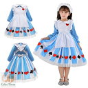ハロウィン 子供 衣装 コスチューム 女の子 キッズ ドレス アリス 仮装 女の子 ジュニア かわいい 可愛い コスチューム キッズ 女児 90 100 120...