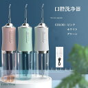 【50円OFF】 口腔洗浄器 歯垢除去 usb充電式 電動 ジェットウォッシャー 超音波 口腔ケア 歯石取り 歯ブラシ 携帯型 大容量 マウスウォッシャー 口内...