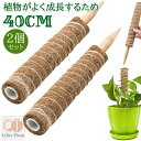 【50円クーポン配布中!】2個セット 園芸 支柱 40cm おしゃれ 植物支柱 ガーデン 蔓 花ささえ 連結 延長 木製 ココナッツ 支え ガーデニング用支柱 観葉支柱 登山植物つる 高さ調整可能 頑丈 耐久 長期間使用 使いやすい 植物サポート 環境保護 植物 安全 園芸