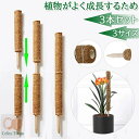 【50円クーポン配布中!】 3本セット ココスティック モンステラ 支柱 ココナッツ おしゃれ 園芸支柱 ポトス 植物支柱 ガーデン 蔓 花ささえ 連結 延長 木製 ココナッツ支柱 支え ガーデニング用支柱 観葉支柱 高さ調整可能 頑丈 耐久 長期間使用 使いやすい 植物サポート