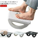 【送料無料】座ったまま 負荷調節 サイクリングマシン ツイストステッパー まま 座った 器具 運動 高齢者 ステッパー 健康ステッパー