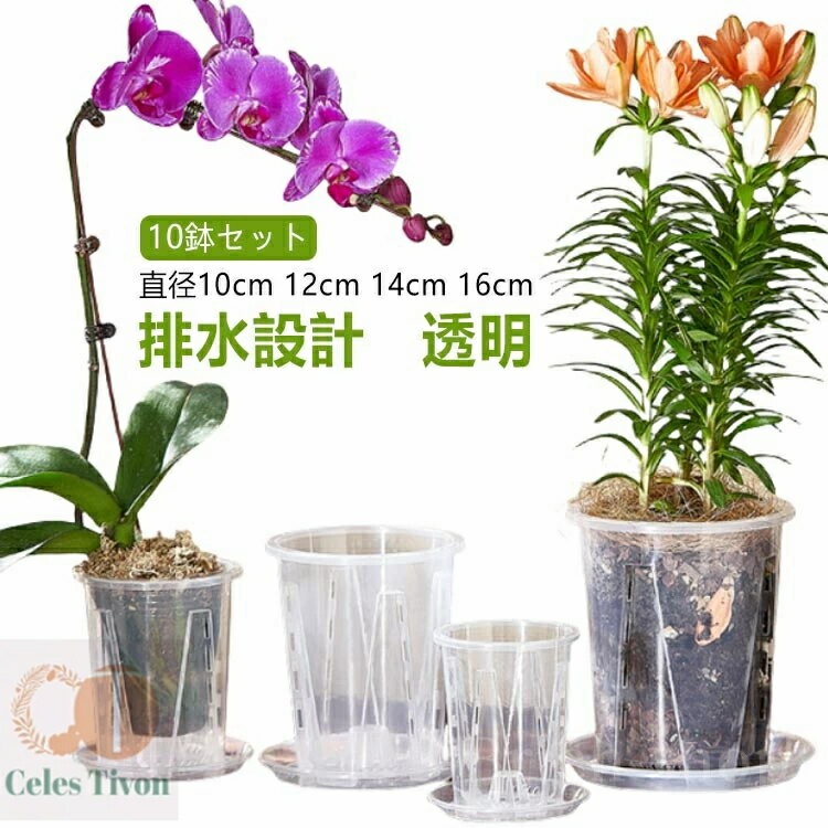 【送料無料】おしゃれ 根腐れ防止 プラスチック 観葉植物の鉢 クリア 根が見える鉢 観葉植物の植え替え 植え替え 鉢 スリット