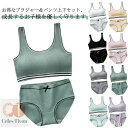 【送料無料】シン 学生 英字ロゴ リブ ショーツセット ジュニア向け 上下セット ジュニアブラジャー ショーツ スポーツブラ ノンワイヤーブラ