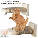 【送料無料】ネコ用 ねこ 滑り止め付 麻紐付き 縄巻き 麻 爪とぎ 木製ステップ 猫用ステップ 取付簡単 2個セット 階段 ケージ用ステップ 猫