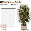 【送料無料】虫鳥除け網 通気性 透明 ホワイト 花壇適用 プランター 菜園 園芸用ネット 防鳥ネット 防虫ネット