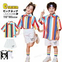 虹色 チアダンス 衣装 キッズ 小学生 柄シャツ 半袖 応援団 可愛い ダンス キッズ ハーフパンツ 白 キッズ ダンス 衣装 セットアップ 幼稚園 ダンス衣装...