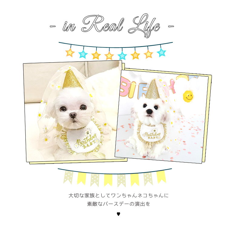 犬 誕生日 帽子 通販 バースデー 犬猫 アクセサリー 首 スタイ ハット よだれかけ ...