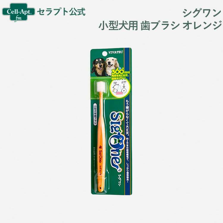 シグワン 小型犬用 歯ブラシ オレンジ ［ネコポス発送］9本まで（00315）