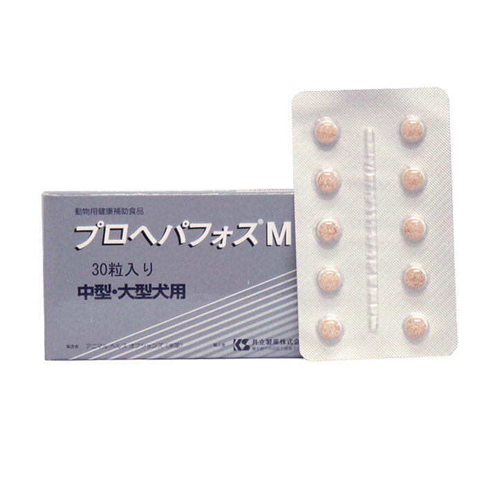 【シート販売】 共立製薬 プロヘパフォスM 中型・大型犬用 80粒(8シート) ※外箱から商品を取り出し発送いたします※ cell-apt-10000316 セラプト公式オンラインストア サンプル画像2