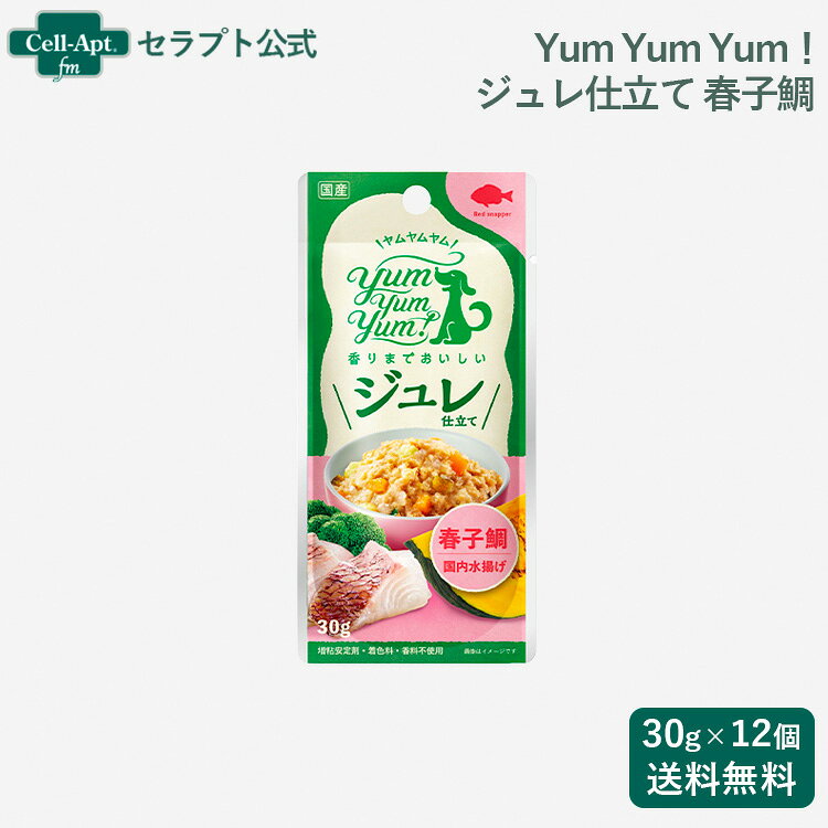 Yum Yum Yum！ ジュレ仕立て 春子鯛 犬用 30g×12個 ■特長■ 【季節限定】今が旬な春子鯛（カスコダイ）を使ったジュレトッピング yum yum yum！ ジュレ仕立ては、かつお・昆布・しいたけの合わせ出汁の香りが広がるジュレタイプのトッピング。 ほどよい粘度のジュレがドライフードにしっかり絡みます。 食べムラが気になるパートナー（愛犬）や、ちょっと食欲が落ちているときにもおすすめです。 2026年春夏の数量限定品が「春子鯛」。 旬を迎える春子鯛ならではの上品な旨味を骨ごと・皮ごとぎゅっと閉じ込め、やわらかく仕上げました。 今だけの、季節を感じる特別な味わいです。 絡みやすい「ジュレ仕立て」 寒天とこんにゃく粉で、ほどよい粘度のあるジュレ仕立てに。 ドライフードにしっかり絡みやすいよう工夫しています。（※ジュレ感は食材によって多少異なります） 食べきりサイズの30gだから、はじめてのトッピングにも与えやすいのが嬉しいポイントです。 ・いつものドライフードに少しプラスして、手軽にグルメごはんに。 ・夏は冷凍、冬は温めて。季節にあわせた“おいしい水分補給”にも。 ・【番外編】トッピングだけでなく、持ち運びに便利なおやつとしても活躍。 （※袋の誤飲防止のため、お皿やスプーンでのご使用をおすすめします） 無添加・ヒューマングレード 人の食事と同じ食材を使用し、国内のペットフード工場で製造。 衛生管理も人の食品と同レベルで行っています。 保存料・着色料・香料などの合成添加物は一切不使用。素材そのもののおいしさを大切に、安全性にも配慮しています。 旬食材「春子鯛」をふんだんに使用 主原料には3〜4月が旬な春子鯛を使用。 春子鯛はマダイやチダイの稚魚（手のひらサイズ）の総称で、桜色の皮目と柔らかくしっとりとした身が特徴です。 そんな春子鯛のおいしさを骨ごと・皮ごと詰め込みました。さらに、yumyumyumの特徴である、かつお節・しいたけ・昆布の合わせだしで風味豊かに。 袋を開けた瞬間に広がる香りで、食欲をしっかり刺激し、食いつきの良さも自慢の一品です。 ■商品分類■ 犬用栄養補助食品 ■原材料■ 鯛（春子鯛）、ブロッコリー、かぼちゃ、にんじん、カツオパウダー、昆布エキス、しいたけエキスパウダー、寒天、こんにゃくパウダー ■成分値■ 粗タンパク質：6.8％以上 粗脂肪：2.5％以上 粗繊維：0.2％未満 粗灰分：1.8％以下 水分：94％以下 カルシウム：0.21％ ナトリウム：0.07％ マグネシウム：0.02％ ■代謝エネルギー■ 代謝エネルギー：19kcal/袋 ■内容量■ 30g ■与え方■ 1日1〜数回に分けて、総合栄養食と一緒に与えてください。 2kg：〜1袋 5kg：〜2袋 10kg〜4袋 15kg〜5袋 ■原産国■ 日本 ■保存及び取扱いの注意■ ・天然の原材料を使用しているためジュレのかたさや色、香りに差が生じることがあります。 ・離乳前の幼犬には与えないでください。 ・袋のフチや切り口で手を切らないようにご注意ください。 ・袋への噛みつきや誤飲に注意しながら与えてください。 ・開封後は早めに与えてください。（開封後要冷蔵） ・小児の手の届かない場所に保管してください。 ■メーカー■ 株式会社カラーズ ■JANコード■ （4571245861078）