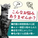 FELISCARE フェリスケア 30粒 猫用プラセンタ 猫サプリメント 羊プラセンタ 肝臓の健康維持 肝臓ケア 肝機能 肝臓数値 GPT ALP 毛艶 毛並み FIP 皮膚 肝障害 肝疾患 日本製 2