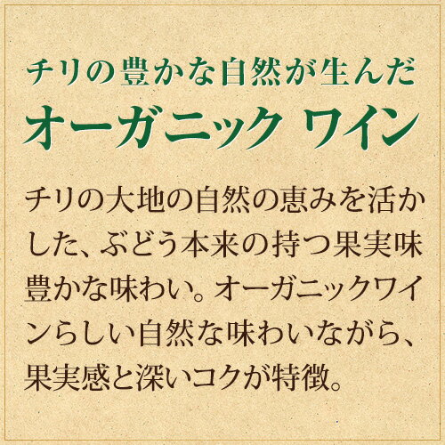 アルパカ オーガニック ホワイト サンタ ヘレナ 750ml 12本入ケース チリ 辛口 白ワイン 長S ビオ BIO 敬老の日 ハロウィン