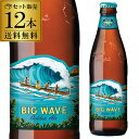 【送料無料】【12本販売】コナビール ビックウェーブ ゴールデンエール 355ml瓶×12本＜アメリカ＞＜ビッグウェーブ＞[長S]