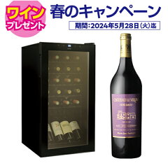 https://thumbnail.image.rakuten.co.jp/@0_mall/cellar/cabinet/cellar-cp2403/992996_2024s_w.jpg