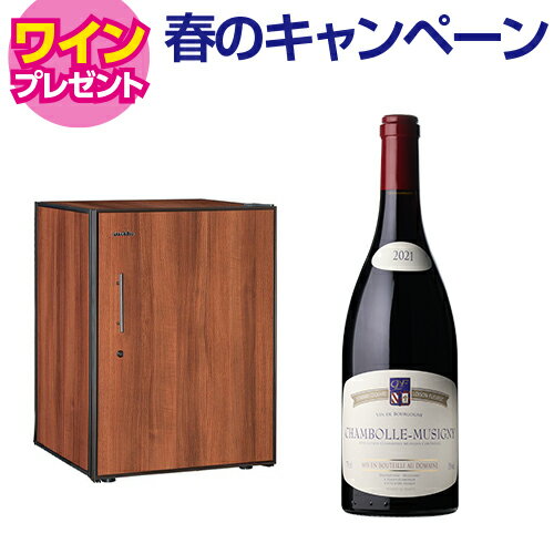 ワイン付★アルテビノ OP02-TB Artevino 98本 ワインセラー コンプレッサー式 家庭用 業務用 鍵付き ワインセラー