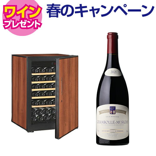 ワイン付★アルテビノ OP04-TB Artevino 62本 ワインセラー コンプレッサー式 家庭用 業務用 鍵付き ワインセラー セラー