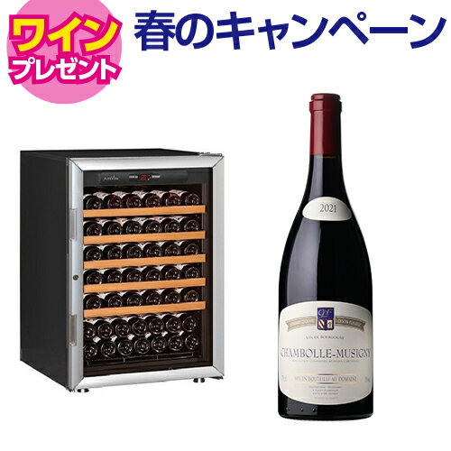 ワイン付★アルテビノ OVP05 Artevino 74本 ワインセラー コンプレッサー式 家庭用 業務用 ワインセラー セラー