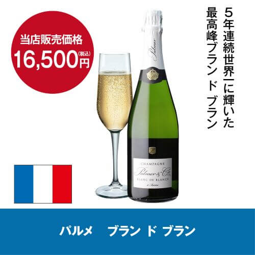 ワイン付★ワインセラー スタイルクレア SC-76（ガラス扉）76本 STYLECREA　コンプレッサー式 家庭用 業務用 大型機種 鍵付き セラー cellar-10014643 ワイン&ワインセラー セラー専科 サンプル画像3