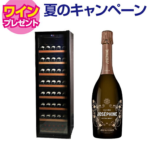 ワイン付★ワインセラー ルフィエール GALLERY88 (C88DIS)　88本収納 業務用 コンプレッサー式 家庭用 1年保証 冷蔵庫 日本酒セラー ワインクーラー 家電 おしゃれ 静か 温度管理 お酒 保存 保管 簡単操作
