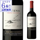 【よりどり6本以上送料無料】カテナ カベルネ ソーヴィニヨンアルゼンチン 辛口 赤 ワイン 赤ワイン 長S 手土産 お祝い ギフト お中元 御中元【ポイント対象外】