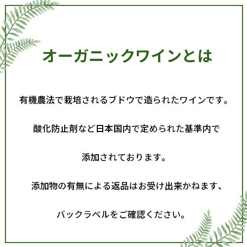 1本当り968円(税込)送料無料ロック＆ルーツ　オーガニック　ヴェルデーリョ　ソーヴィニヨンブラン 750ml ワイン ビオ BIO オーガニックワイン 白ワイン 長Sお中元 敬老 御中元 御中元ギフト 中元 中元ギフト