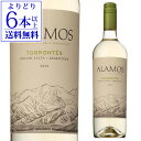 カテナ アラモス トロンテス 750ml アルゼンチン 辛口 白 ワイン 白ワイン 長S 母の日 お花見 手土産 お祝い ギフト