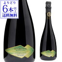 【よりどり6本以上送料無料】レ グロッテ レッジャーノ ランブルスコ セッコ 750ml イタリア 辛口 赤泡 スパークリング 微発泡 スパークリングワイン 長S 母の日 お花見 手土産 お祝い ギフト