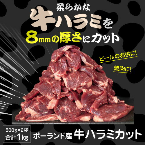 送料無料 柔らか牛ハラミカット 8ミリスライス 500g×2袋 合計1キロ タレなし ハラミ サガリ カット バーベキュー BBQ ポーランド産 牛ハラミ 1,000g 冷凍食品 ハラミ 1kg あたり3,218円 冷凍 カワタキ 父の日 お中元 2