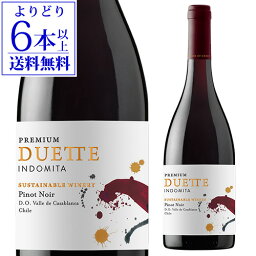 【よりどり6本以上送料無料】インドミタ デュエット プレミアムピノ ノワール [2022]Duette Indomita Premium Pinot Noirチリ 赤ワイン 辛口 ピノノワール 母の日 お花見 手土産 お祝い ギフト 長S