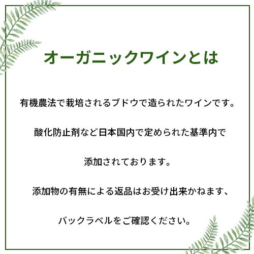 【よりどり6本以上送料無料】 ナチュール エール ボルドー ブラン 750ml フランス ワイン ビオ BIO オーガニックワイン ソーヴィニヨン 白ワイン 手土産 お祝い ギフト 浜運 ワイン cellar-10028111 ワイン&ワインセラー セラー専科 サンプル画像3