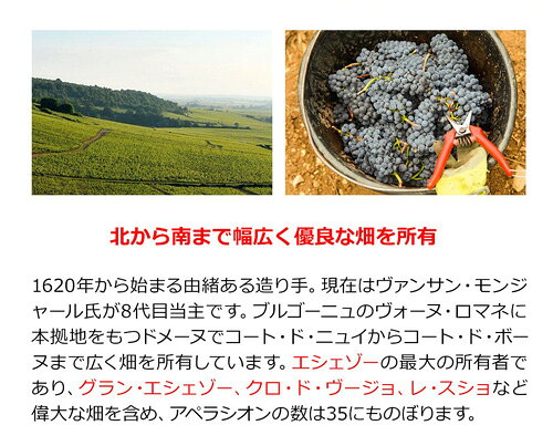 リシュブール[2020] モンジャール ミュニュレ 750ml 正規品 特級 グランクリュ フランス ブルゴーニュ コート ド ニュイ 赤ワイン ピノ ノワール 辛口 中重口 少量入荷ブルゴーニュ 虎 手土産 お祝い ギフト ワイン cellar-10031552 ワイン&ワインセラー セラー専科 サンプル画像3