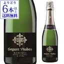 セグラヴューダス ブルート レゼルバ 375ml ハーフ スペイン スパークリングワイン ブリュット 辛口 泡 白 レセルバ リゼルバ シャンパン(シャンパーニュ)製法 浜運 母の日