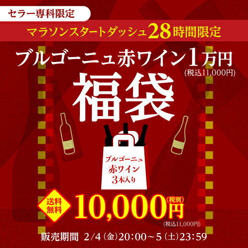 【エントリー全品P5倍 マラソン期間中】送料無料 20,130円(税込)相当が入って11,000円(税込)！ ブルゴーニュ赤ワイン3本福袋 ワインセット 長Sおひとり様1セット限定