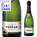 【誰でもP3倍 4/30中】【よりどり6本以上送料無料】フェッラーリ ブリュット オマージュNV 750ml イタリア スパークリングワイン スプマンテ ブラン ド ブラン 瓶内二次発酵 ferrari 母の日 お花見 お祝い ギフト 浜運 あす楽