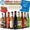 (予約) 父の日 早割 ええもん プレゼント 実用的 花以外 ビール ギフト ビールセット ビールギフト 飲み比べ 詰め合わせ父の日 世界のビール9本+ビールに合うスパイスカレーセットRSL 2022年5月中旬発送予定贈り物 贈答用
