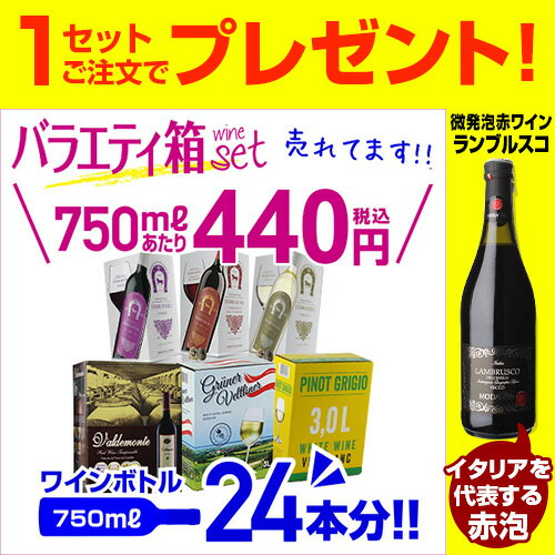 【誰でもP3倍 8/25限定】【600円クーポン】利用でボトル換算415円 送料無料 今だけ『ランブルスコ』付き！《箱ワイン》バラエティ 6箱 セット94弾 赤ワイン3種 白ワイン3種 長S