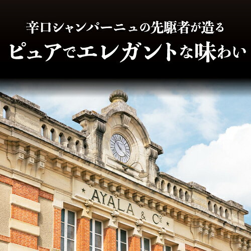 【誰でもP5倍 8/10 0時～/11 2時】アヤラ ラ ペルル [2013] 750ml 辛口 シャルドネ ピノ ノワール シャンパーニュ ヴァレ ド ラ マルヌ 正規品 浜運 手土産 お祝い ギフト ワイン cellar-10027404 ワイン&ワインセラー セラー専科 サンプル画像3
