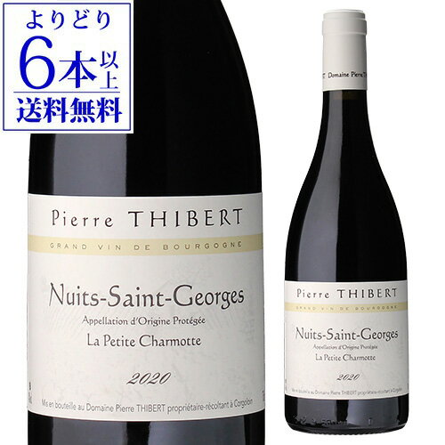 【誰でもP10倍 マラソン中】【よりどり6本以上送料無料】ニュイ サン ジョルジュ プティ シャルモット [2020]ドメーヌ ピエール ティベール 750mlフランス ブルゴーニュ 辛口 ピノノワール 赤ワイン 浜運 お祝い ギフト お中元 御中元のサムネイル