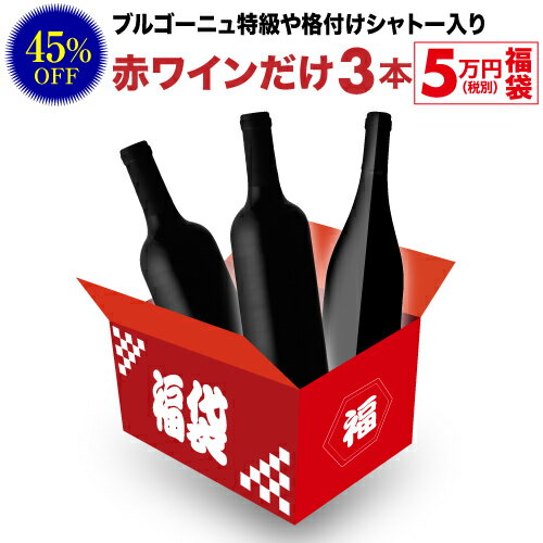 送料無料 101,090円(税込)相当が入って55,000円(税込)！ 赤ワインだけ3本 5万円(税別)福袋 2022年 赤ワイン 辛口 ワイン福袋 ワインセット 長S