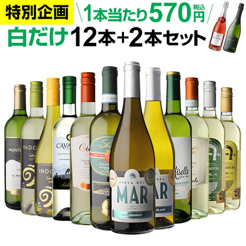 1本あたり570円(税込) 送料無料 白だけ特選ワイン12本+2本セット(合計14本) 142弾 白ワインセット 辛口 白ワイン シャルドネ 家飲み 長S