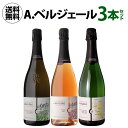 【1本あたり6,000 円(税込) 送料無料 A.ベルジェール 3本セット 750ml 3本入シャンパン シャンパーニュ NM ヴァレ ド…